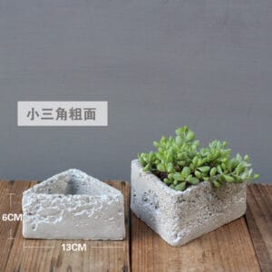 CE3011